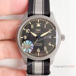 (M+) Swiss Grade 1 IWC Mark XVIII Replica Watch Titanium Case
